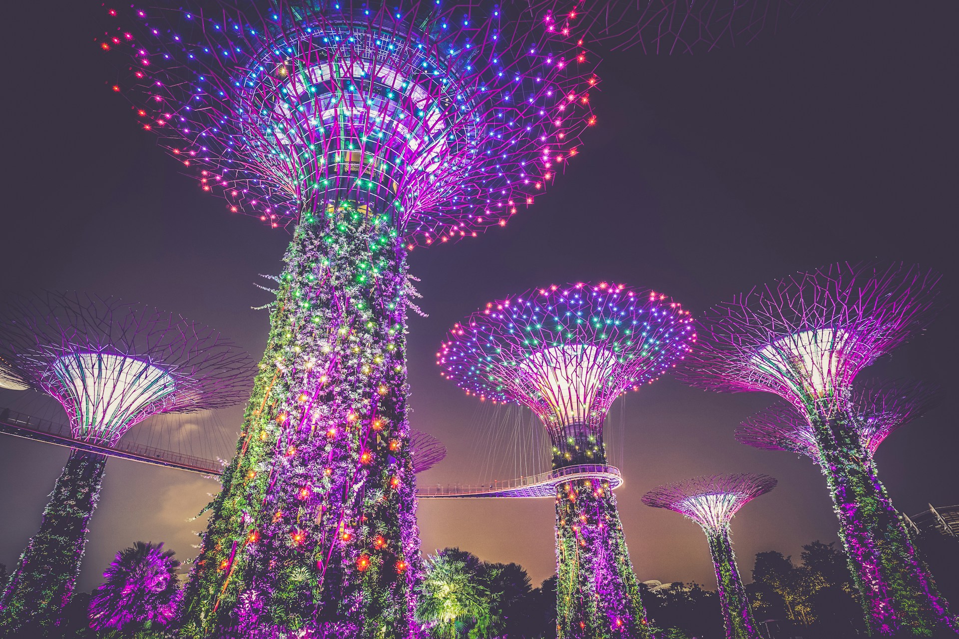 Singapore Package 5 Nights - 6 Days